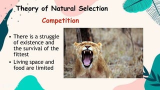  There is a struggle
of existence and
the survival of the
fittest
 Living space and
food are limited
Theory of Natural Selection
Competition
 