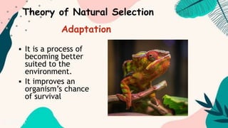  It is a process of
becoming better
suited to the
environment.
 It improves an
organism’s chance
of survival
Theory of Natural Selection
Adaptation
 