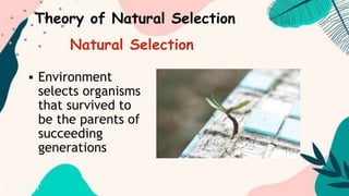  Environment
selects organisms
that survived to
be the parents of
succeeding
generations
Theory of Natural Selection
Natural Selection
 