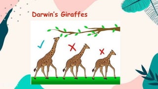 Darwin’s Giraffes
 