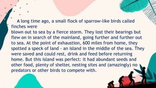 A long time ago, a small flock of sparrow-like birds called
finches were
blown out to sea by a fierce storm. They lost their bearings but
flew on in search of the mainland, going further and further out
to sea. At the point of exhaustion, 600 miles from home, they
spotted a speck of land - an island in the middle of the sea. They
were saved and could rest, drink and feed before returning
home. But this island was perfect: it had abundant seeds and
other food, plenty of shelter, nesting sites and (amazingly) no
predators or other birds to compete with.
 