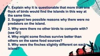 1. Explain why it is questionable that more than one
flock of birds would find the islands in this way at
the same time.
2. Suggest two possible reasons why there were no
predators on the island.
3. Why were there no other birds to compete with?
(see Q1)
4. Why might some finches survive better than
others on the same food sources?
5. Why were the finches slightly different on each
island?
 