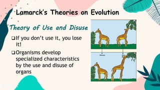 THEORIES of Evolution.pptx