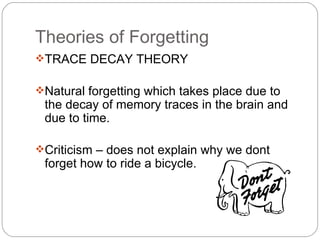 decay theory of forgetting