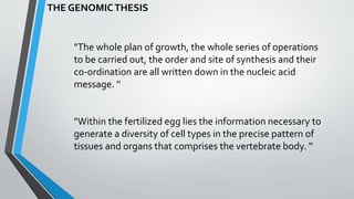 Genesis Example Growth Theories of growth | PPTX