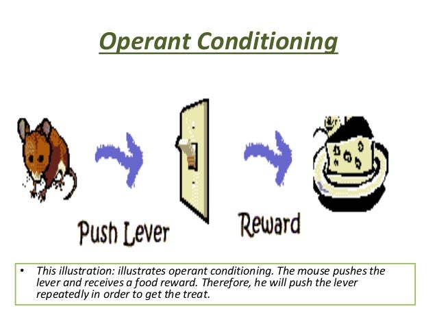 What is stimuli in psychology picture
