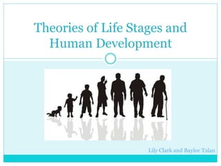 Theories of Life Stages and
Human Development
Lily Clark and Baylee Talan
 