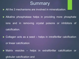 Theories of mineralization | PPT