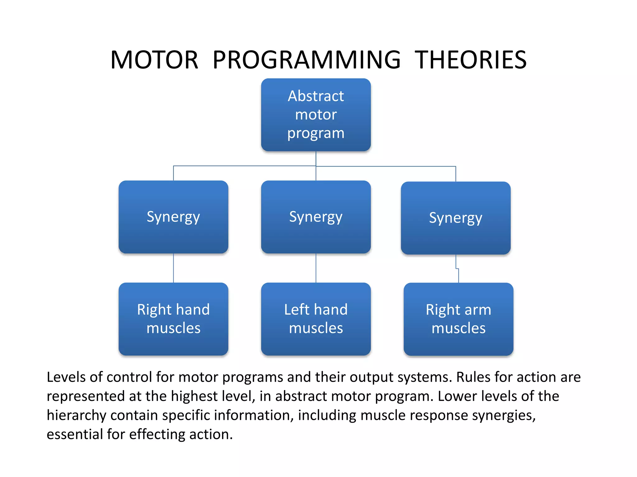 Theories of Motor Control | PPTX