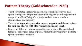 Theories of pain | PDF