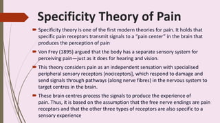 Theories of pain.pptx