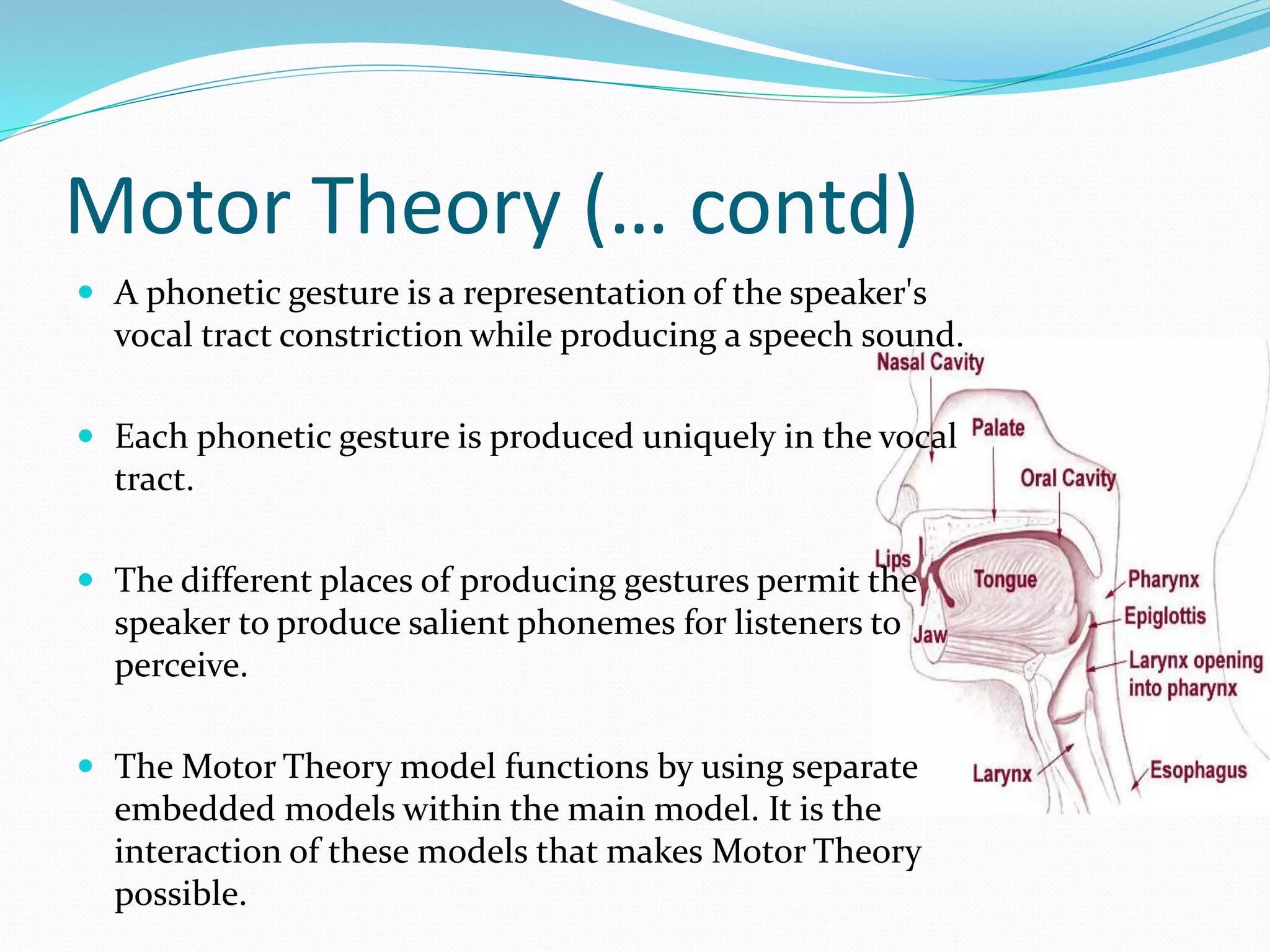 Motor Theory (… contd) 
 A phonetic gesture is a representation of the speaker's 
vocal tract constriction while producing a speech sound. 
 Each phonetic gesture is produced uniquely in the vocal 
tract. 
 The different places of producing gestures permit the 
speaker to produce salient phonemes for listeners to 
perceive. 
 The Motor Theory model functions by using separate 
embedded models within the main model. It is the 
interaction of these models that makes Motor Theory 
possible. 
 