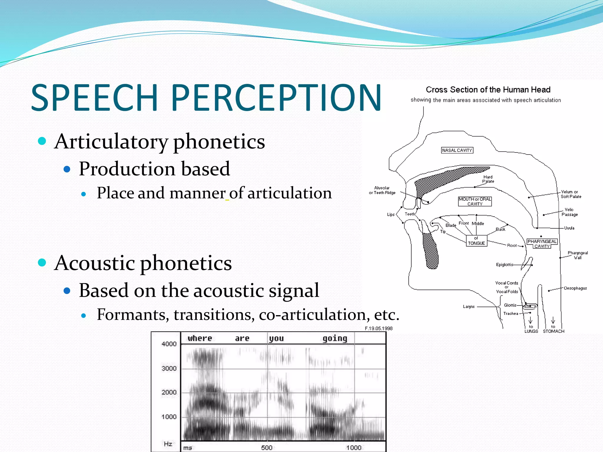 SPEECH PERCEPTION 
 Articulatory phonetics 
 Production based 
 Place and manner of articulation 
 Acoustic phonetics 
 Based on the acoustic signal 
 Formants, transitions, co-articulation, etc. 
 