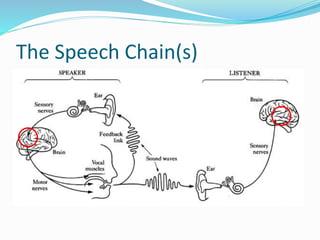 Theories of Speech Perception | PPTX