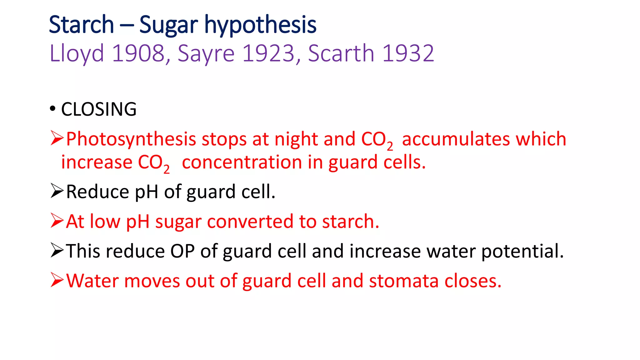 Starch – Sugar hypothesis
Lloyd 1908, Sayre 1923, Scarth 1932
• CLOSING
Photosynthesis stops at night and CO2 accumulates which
increase CO2 concentration in guard cells.
Reduce pH of guard cell.
At low pH sugar converted to starch.
This reduce OP of guard cell and increase water potential.
Water moves out of guard cell and stomata closes.
 