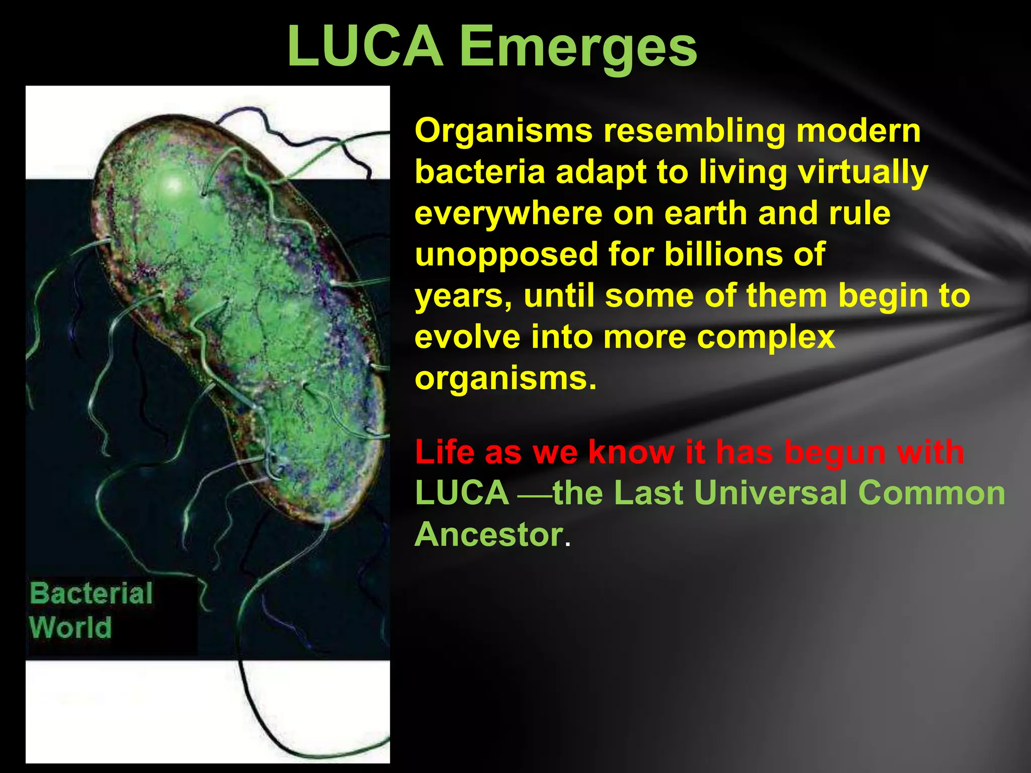 The origin and evolution of life on earth | PPTX