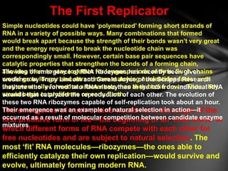RNA Replication Without Enzymes
Thermodynamic arguments hypothesize that RNA became self-
replicating when the temperature...