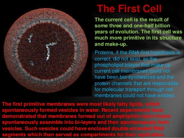 How Was The First Living Cell On The Earth Formed? – ELACI