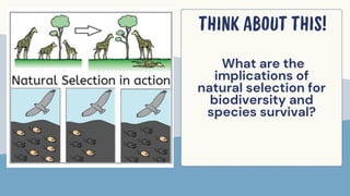 THE ORIGIN AND EXTINCTION OF SPECIES.pdf