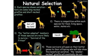 THE ORIGIN AND EXTINCTION OF SPECIES.pdf