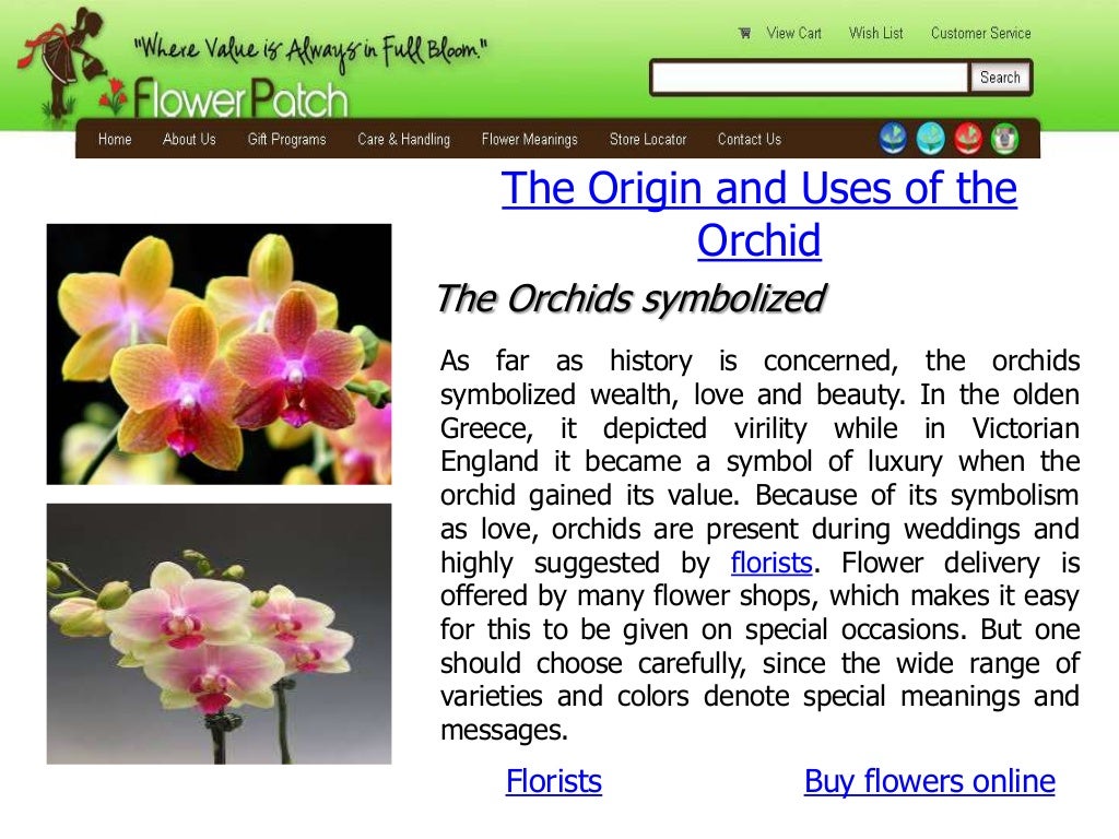 The origin and uses of the orchid