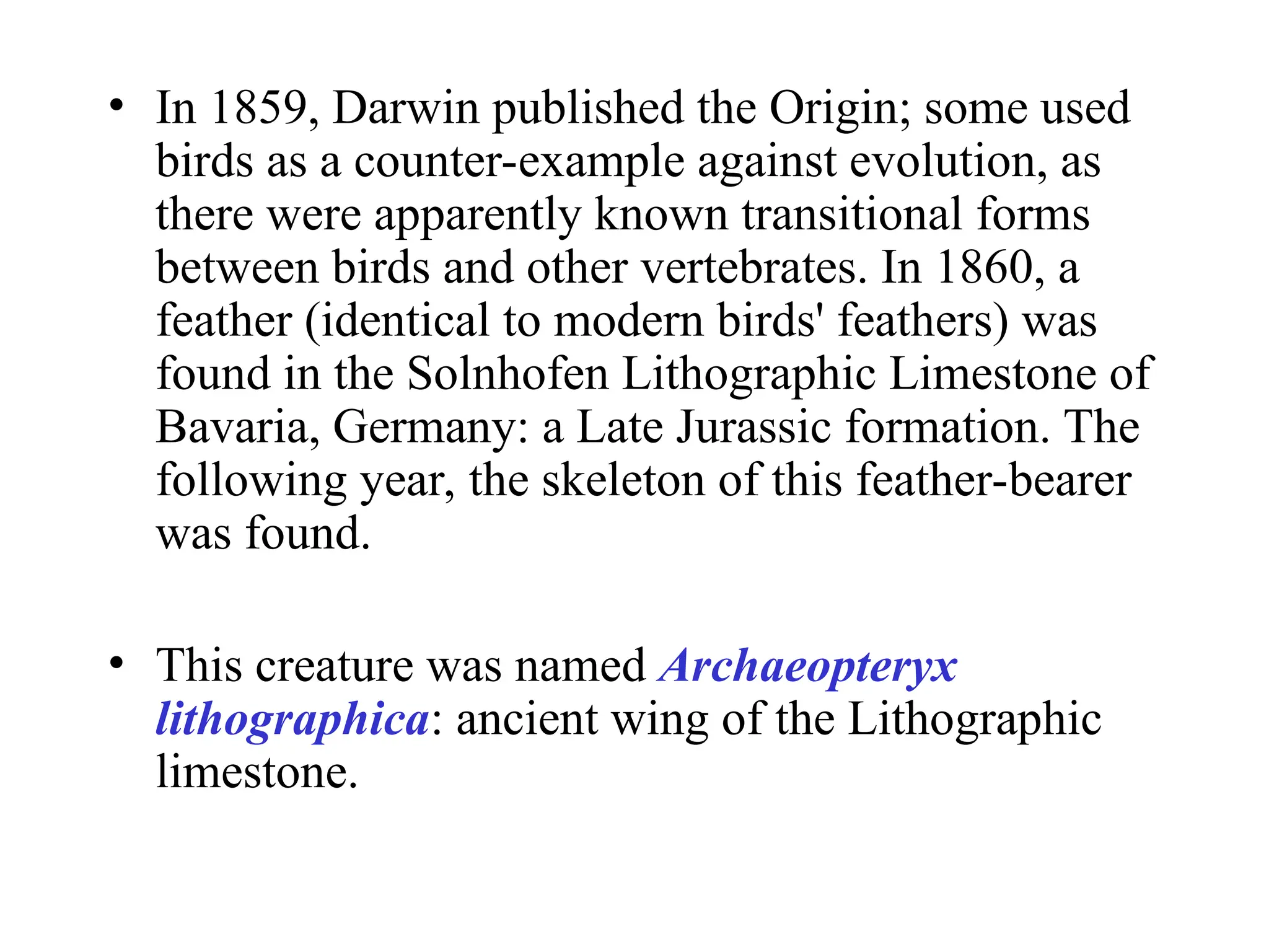 The Origin of Birds. Origin, classification and anatomy | PPT