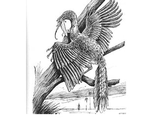 The Origin of Birds. Origin, classification and anatomy | PPT