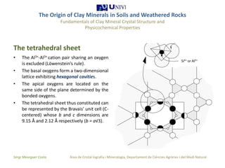 The origin of clay minerals 1 1 | PPTX