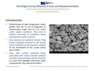 The origin of clay minerals 1 1 | PPTX