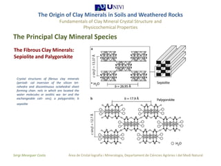 The origin of clay minerals 1 1 | PPTX