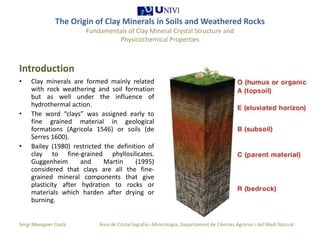 The origin of clay minerals 1 1 | PPTX