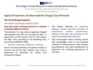 The origin of clay minerals 1 1 | PPTX