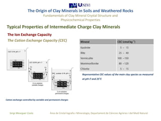 The origin of clay minerals 1 1 | PPTX