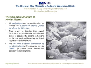 The origin of clay minerals 1 1 | PPTX