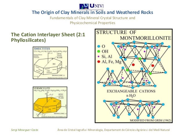 Clay Minerals And The Origin Of Life – SYTH