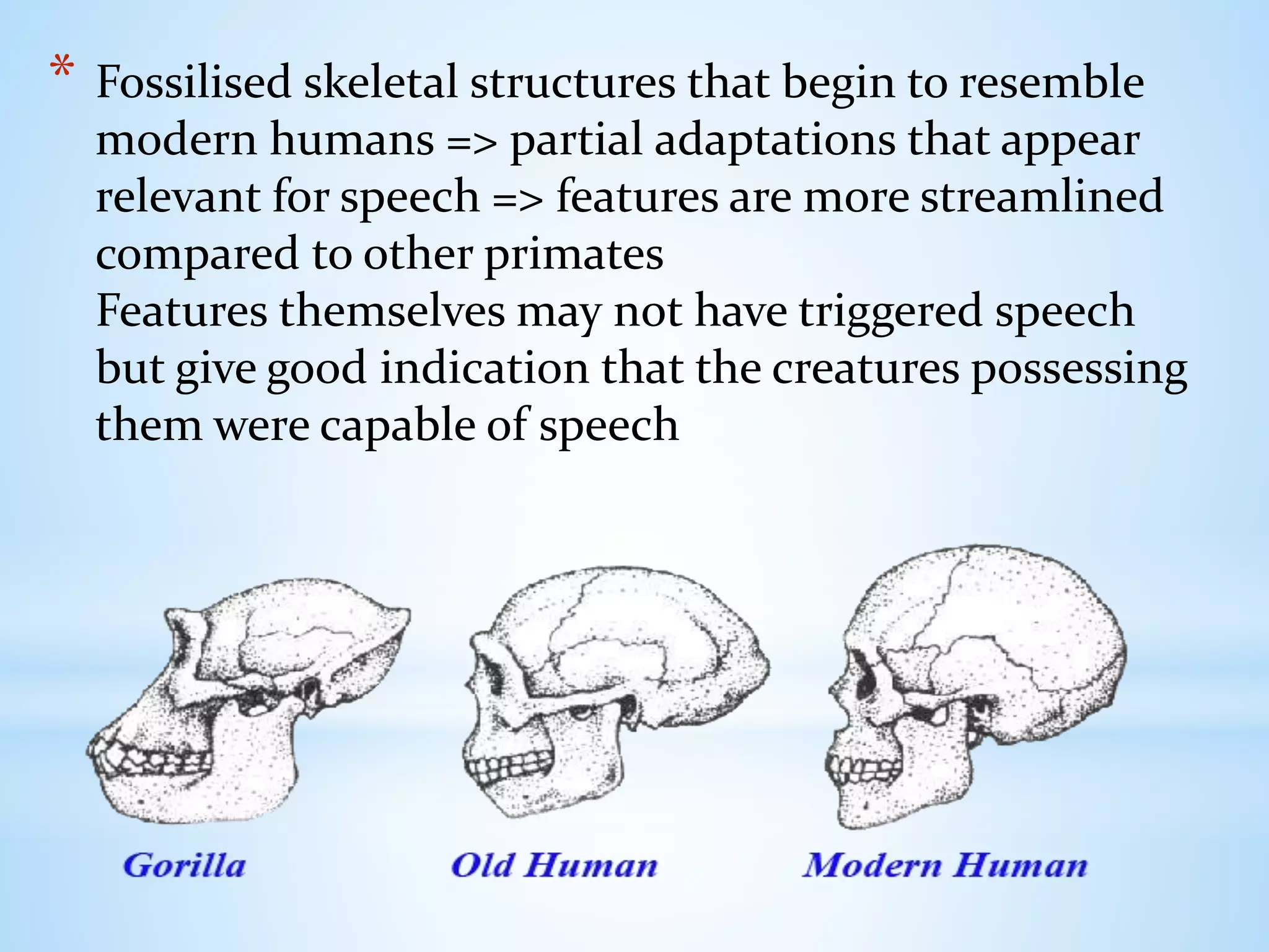 * Fossilised skeletal structures that begin to resemble
modern humans => partial adaptations that appear
relevant for speech => features are more streamlined
compared to other primates
Features themselves may not have triggered speech
but give good indication that the creatures possessing
them were capable of speech
 