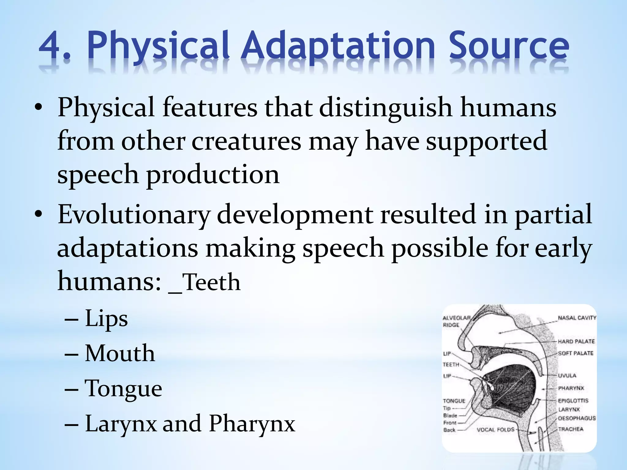4. Physical Adaptation Source
• Physical features that distinguish humans
from other creatures may have supported
speech production
• Evolutionary development resulted in partial
adaptations making speech possible for early
humans: _Teeth
– Lips
– Mouth
– Tongue
– Larynx and Pharynx
 