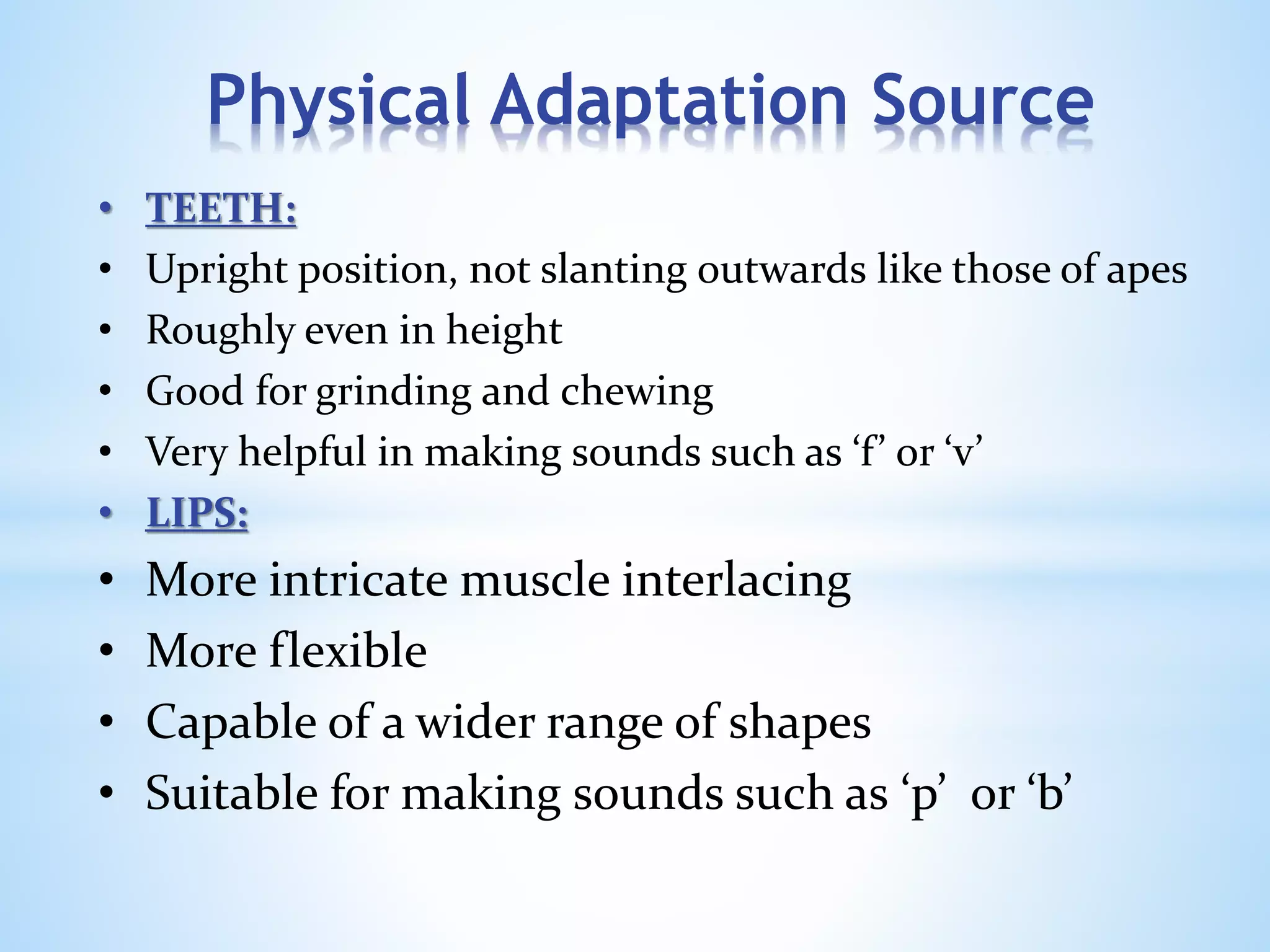 • TEETH:
• Upright position, not slanting outwards like those of apes
• Roughly even in height
• Good for grinding and chewing
• Very helpful in making sounds such as ‘f’ or ‘v’
• LIPS:
• More intricate muscle interlacing
• More flexible
• Capable of a wider range of shapes
• Suitable for making sounds such as ‘p’ or ‘b’
Physical Adaptation Source
 