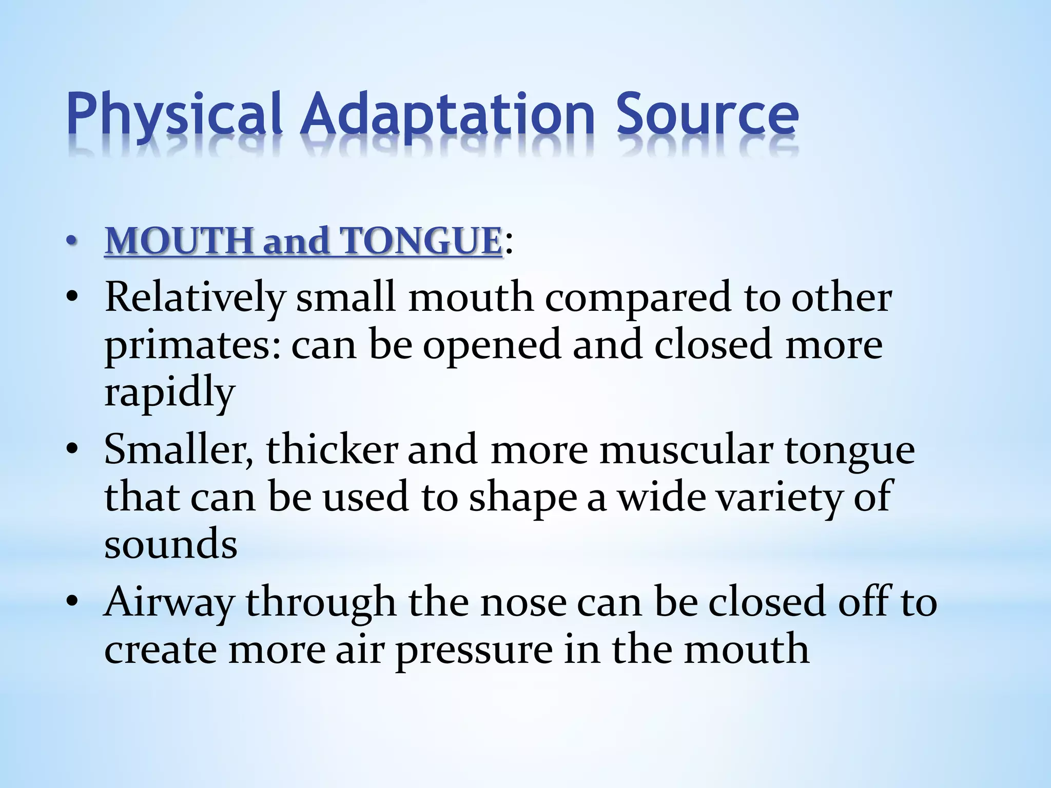 Physical Adaptation Source
• MOUTH and TONGUE:
• Relatively small mouth compared to other
primates: can be opened and closed more
rapidly
• Smaller, thicker and more muscular tongue
that can be used to shape a wide variety of
sounds
• Airway through the nose can be closed off to
create more air pressure in the mouth
 