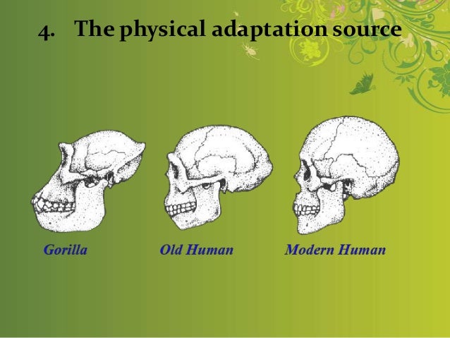 The Origin of Language