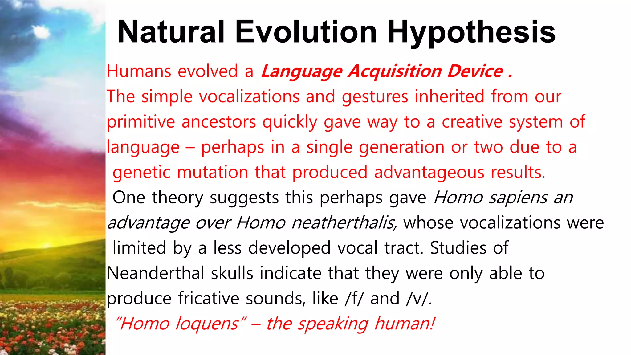 Natural Evolution Hypothesis
Humans evolved a Language Acquisition Device .
The simple vocalizations and gestures inherited from our
primitive ancestors quickly gave way to a creative system of
language – perhaps in a single generation or two due to a
genetic mutation that produced advantageous results.
One theory suggests this perhaps gave Homo sapiens an
advantage over Homo neatherthalis, whose vocalizations were
limited by a less developed vocal tract. Studies of
Neanderthal skulls indicate that they were only able to
produce fricative sounds, like /f/ and /v/.
“Homo loquens” – the speaking human!
 