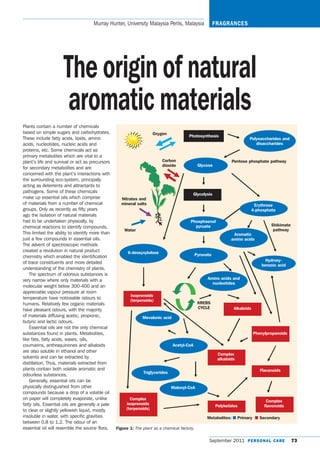 Murray Hunter, University Malaysia Perlis, Malaysia                 FRAGRANCES




                     The origin of natural
                      aromatic materials
Plants contain a number of chemicals
based on simple sugars and carbohydrates.                             Oxygen
                                                                                         Photosynthesis
These include fatty acids, lipids, amino                                                                                   Polysaccharides and
acids, nucleotides, nucleic acids and                                                                                         disaccharides
proteins, etc. Some chemicals act as
primary metabolites which are vital to a
plant’s life and survival or act as precursors                            Carbon                                  Pentose phosphate pathway
                                                                          dioxide               Glycose
for secondary metabolites and are
concerned with the plant’s interactions with
the surrounding eco-system, principally
acting as deterrents and attractants to
pathogens. Some of these chemicals
                                                                                           Glycolysis
make up essential oils which comprise               Nitrates and
of materials from a number of chemical              mineral salts                                                               Erythrose
groups. Only as recently as fifty years                                                                                        4-phosphate
ago the isolation of natural materials
had to be undertaken physically, by                                                       Phosphoenol
chemical reactions to identify compounds.                                                   pyruate                                     Shikimate
                                                      Water                                                                              pathway
This limited the ability to identify more than                                                                     Aromatic
just a few compounds in essential oils.                                                                           amino acids
The advent of spectroscopic methods
created a revolution in natural product                 6-deoxyxylulose
chemistry which enabled the identification                                                     Pyruvate
                                                                                                                                     Hydroxy-
of trace constituents and more detailed
                                                                                                                                   benzoic acid
understanding of the chemistry of plants.
    The spectrum of odorous substances is
very narrow where only materials with a                                                              Amino acids and
                                                                                                       nucleotides
molecular weight below 300-400 and an
appreciable vapour pressure at room
                                                         Isoprenoids
temperature have noticeable odours to                    (terpenoids)
humans. Relatively few organic materials                                                        KREBS
                                                                                                CYCLE              Alkaloids
have pleasant odours, with the majority
of materials diffusing acetic, propionic,                       Mevalonic acid
butyric and lactic odours.
    Essential oils are not the only chemical
substances found in plants. Metabolites,                                                                                       Phenylpropanoids
like fats, fatty acids, waxes, oils,
coumarins, anthraquinones and alkaloids                                          Acetyl-CoA
are also soluble in ethanol and other
                                                                                                           Complex
solvents and can be extracted by                                                                           alkaloids
distillation. Thus, materials extracted from
plants contain both volatile aromatic and                                                                                         Flavanoids
                                                                Triglycerides
odourless substances.
    Generally, essential oils can be
physically distinguished from other                                             Malonyl-CoA
compounds because a drop of a volatile oil
on paper will completely evaporate, unlike               Complex
                                                                                                                                     Complex
fatty oils. Essential oils are generally a pale        isoprenoids
                                                                                                          Polyketides               flavonoids
to clear or slightly yellowish liquid, mostly          (terpenoids)
insoluble in water, with specific gravities                                                          Metabolites: I Primary I Secondary
between 0.8 to 1.2. The odour of an
essential oil will resemble the source flora,     Figure 1: The plant as a chemical factory.

                                                                                                     September 2011 P E R S O N A L C A R E         73
 