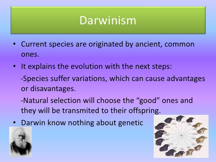 Can Natural Selection Cause Variations Can Natural Selection Cause Variations