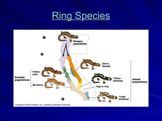 Ring Species
Ring Species
 