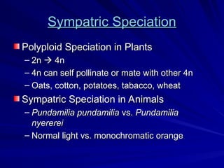 Sympatric Speciation
Sympatric Speciation
Polyploid Speciation in Plants
Polyploid Speciation in Plants
– 2n
2n 
 4n
4n
– 4n can self pollinate or mate with other 4n
4n can self pollinate or mate with other 4n
– Oats, cotton, potatoes, tabacco, wheat
Oats, cotton, potatoes, tabacco, wheat
Sympatric Speciation in Animals
Sympatric Speciation in Animals
– Pundamilia pundamilia
Pundamilia pundamilia vs.
vs. Pundamilia
Pundamilia
nyererei
nyererei
– Normal light vs. monochromatic orange
Normal light vs. monochromatic orange
 