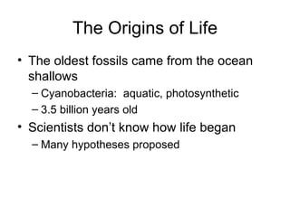 The Origins of Life ,[object Object],[object Object],[object Object],[object Object],[object Object]