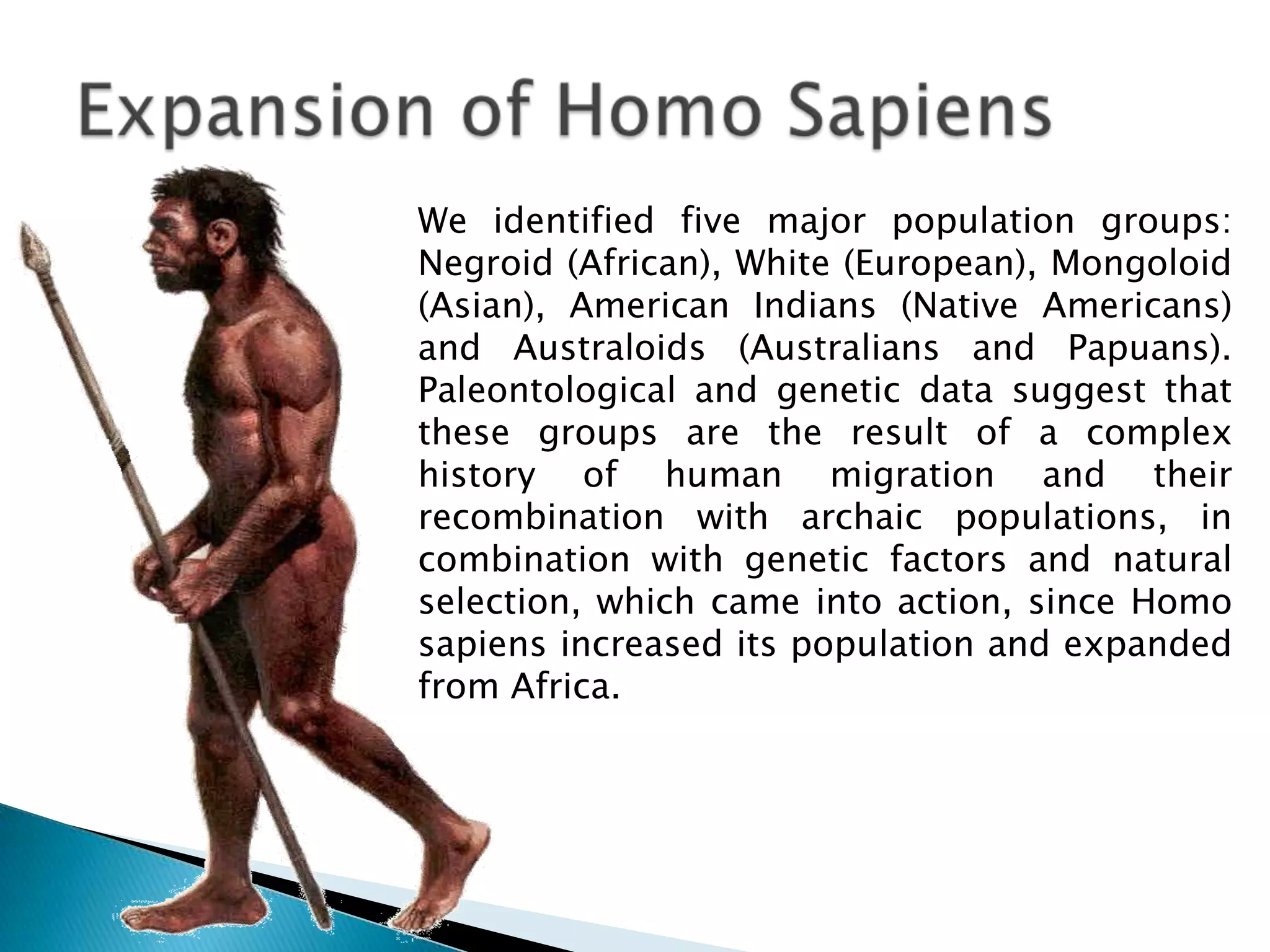 The origins of modern man | PPTX