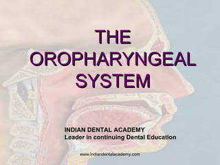 THETHE
OROPHARYNGEALOROPHARYNGEAL
SYSTEMSYSTEM
INDIAN DENTAL ACADEMY
Leader in continuing Dental Education
www.indiandentalacademy.com
 