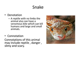 Snake
• Denotation
– A reptile with no limbs the
animal also can have a
venomous bite which can kill
humans and large and small
animals.
• Connotation
Connotations of this animal
may include reptile , danger ,
slimy and scary.
 
