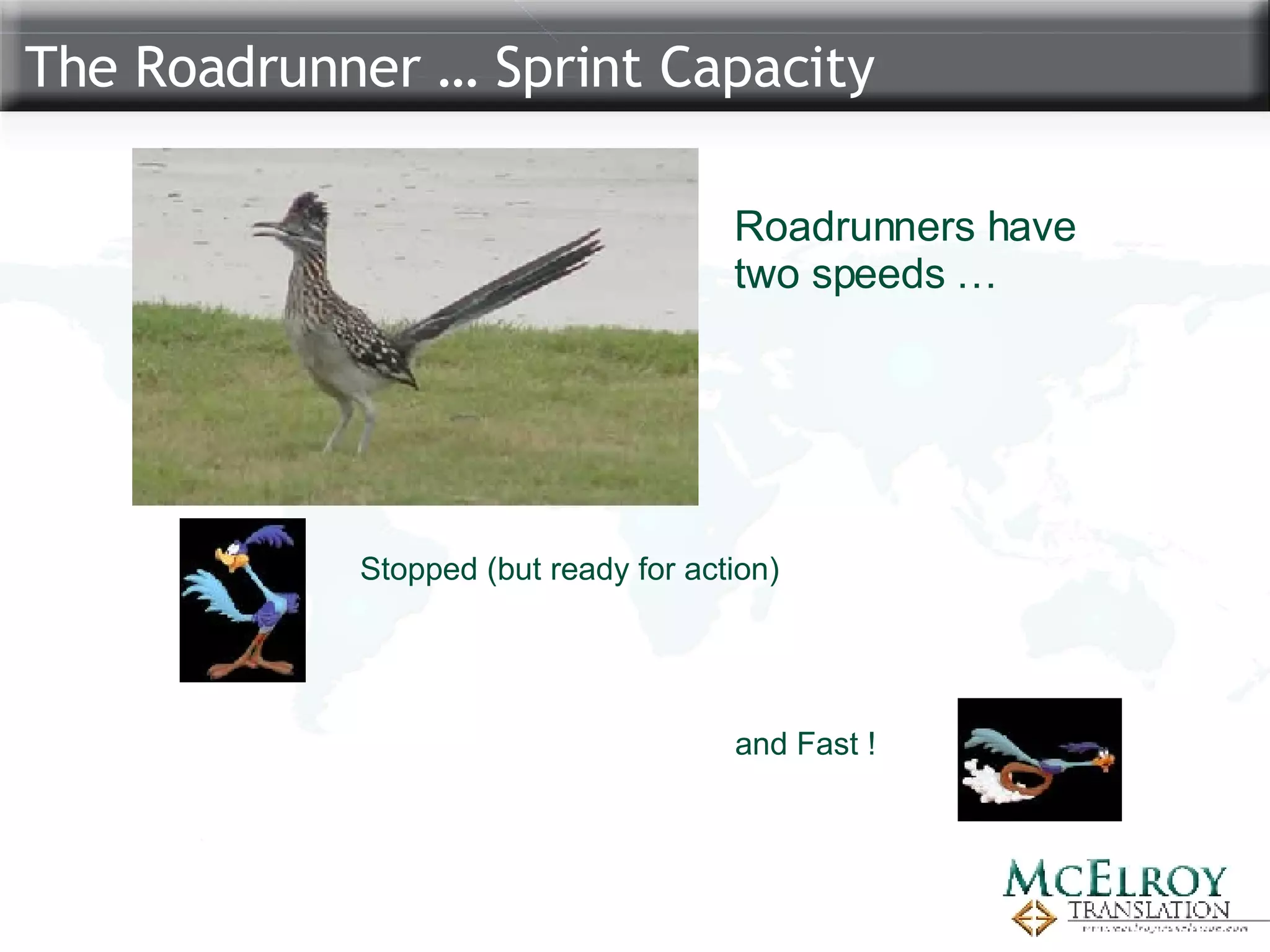 The Roadrunner … Sprint Capacity Roadrunners have  two speeds … Stopped (but ready for action) and Fast ! 